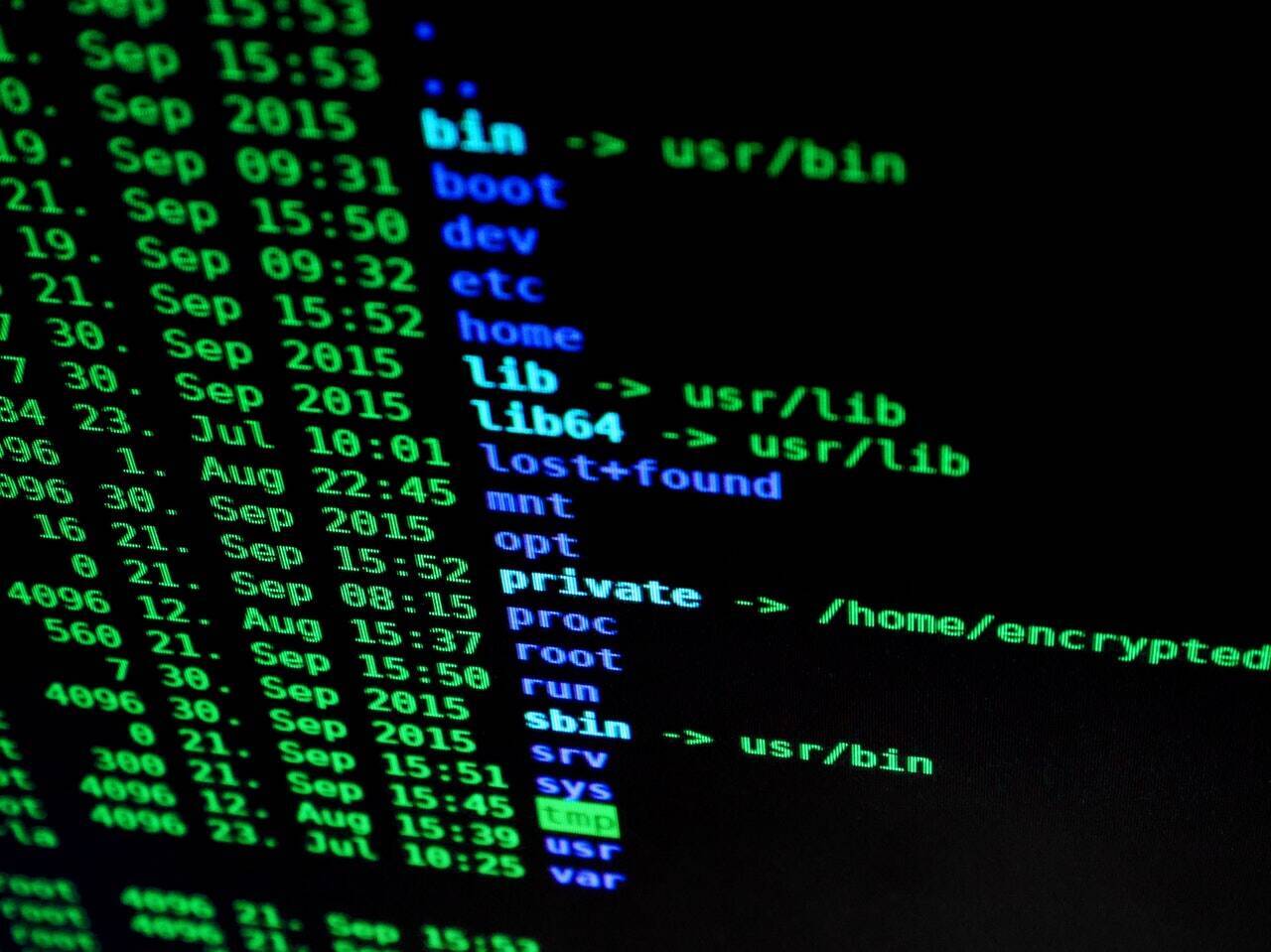 A terminal window listing filesystem directories in green text on a black background